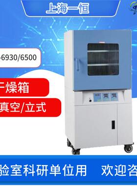 上海真空干燥箱立式DZF-6930/6500/6210/6090微电脑控制定时