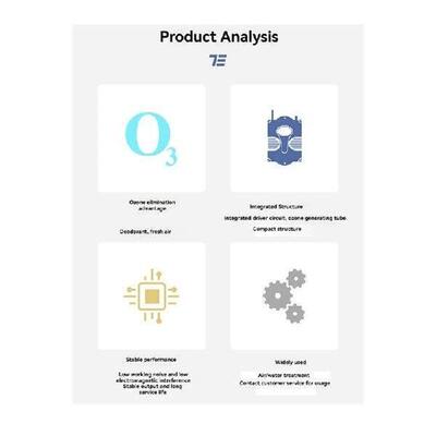 AC220V 200Mg/H Ozone Generator Bathtub Shower SPA Swimming