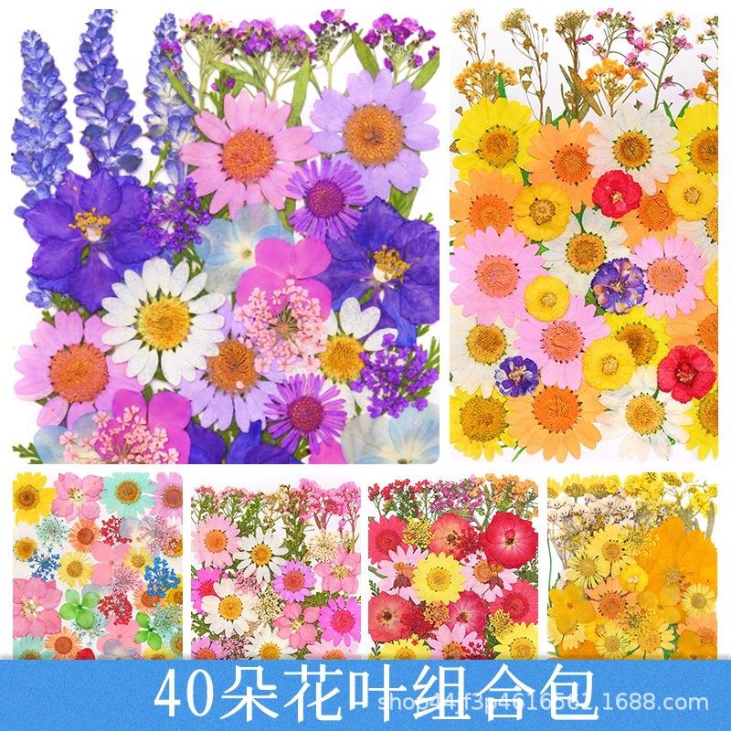 干花压花材料包 pressedflower diy滴胶干花饰品 儿童手工 干花妆