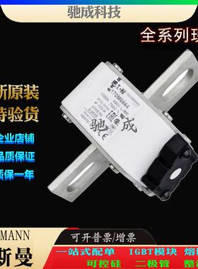 巴斯曼170M6663 170M6664 170M6665 厂家直供量大价优 伊顿熔断器