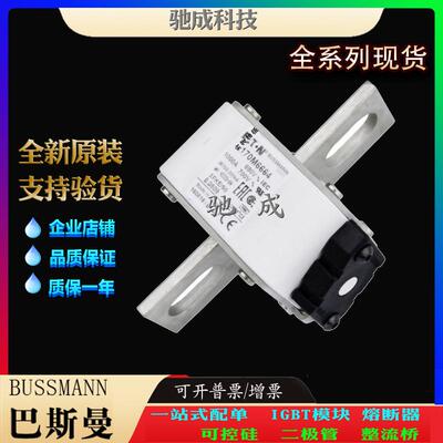 巴斯曼170M6663 170M6664 170M6665 厂家直供量大价优 伊顿熔断器