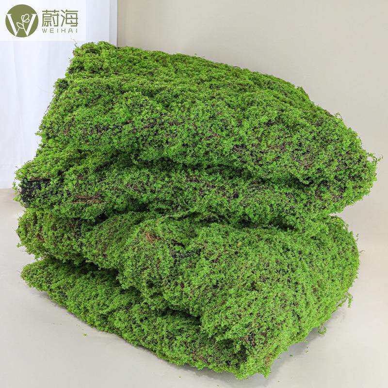 装仿真棕丝苔造景苔藓草皮景观软搭YQV配摆件室内藓仿外生绿植