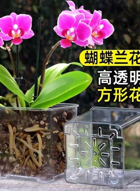 方形高透明塑料花盆栽亚克力方盆套盆水苔兰花蝴蝶兰专用花盆家用