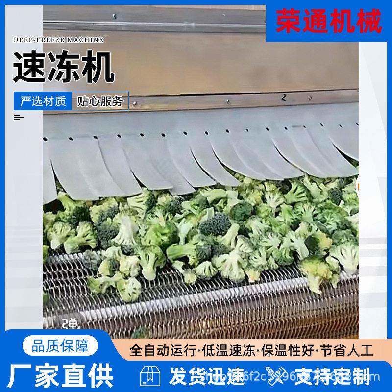 大型隧道速冻机流态化速冻设备双螺旋速冻机厂家