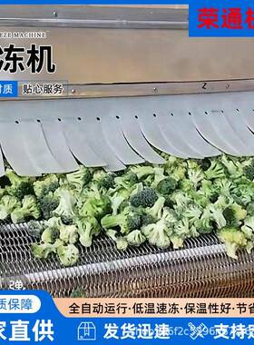 大型隧道速冻机流态化速冻设备双螺旋速冻机厂家