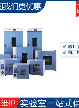 上海一恒电热鼓风干燥箱DHG-9620A/DHG-9920A直发