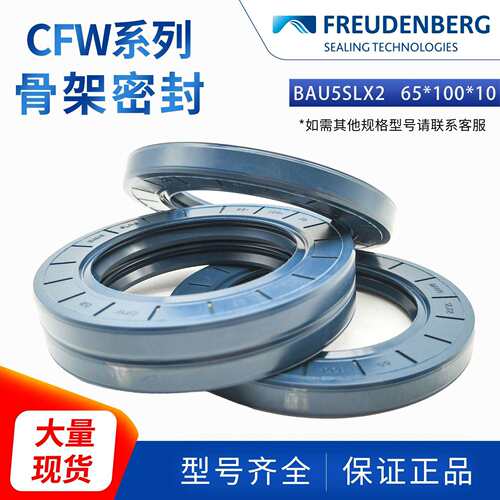 德国CFW科德宝BAU5SLX2 65*100*10 CZ CFW B2带弹簧径向轴封