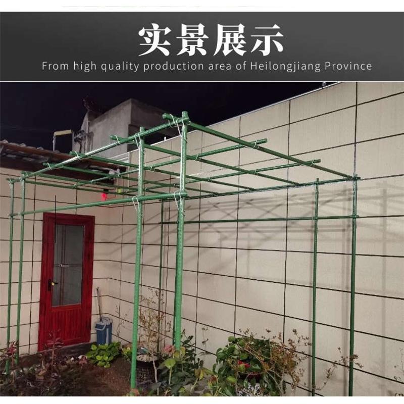 葡萄架黄瓜豆角架包塑钢管户外庭院架子百香果葫芦月季番茄攀爬杆