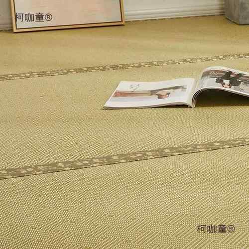 式加厚榻榻米垫子卧室家用床垫炕垫塌塌米地垫踏踏米加热垫麦太保