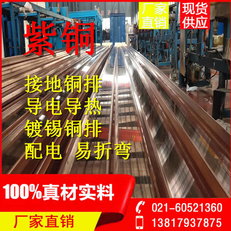 厂家现货直销T2镀锡紫铜排型号全 T2镀锡铜排质量优  接地铜排