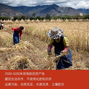 西藏索朗兴黑青稞面粉纯黑青稞糌粑粉青稞炒面粉萌动黑糌粑粉即食