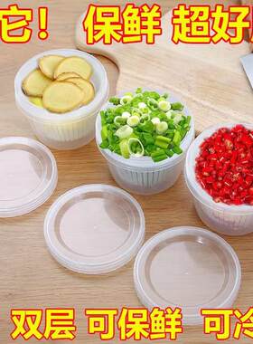 Kitchen Scallion Ginger Garlic Storage Box Refrigerator Chiv