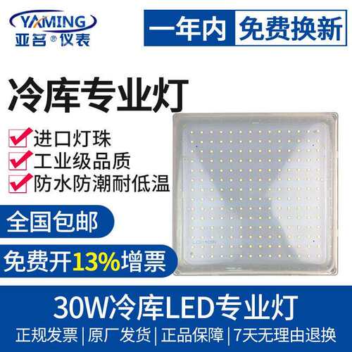 冷库灯30w投光投射灯仓库户外广场防水防潮宾馆浴室
