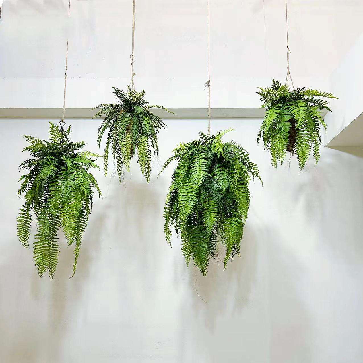 森系室内空中垂吊装饰蕨类草仿真绿植物吊饰家居装饰创意摄影摆件
