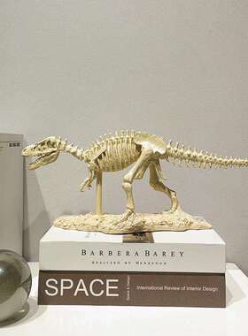 现代简约恐龙化石模型摆件北欧样板房间办公间软装饰品玄关摆设