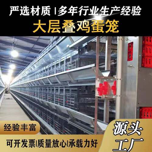 大层叠肉鸡笼养鸡设备加密加粗全自动化养殖笼具热镀锌蛋鸡笼设备