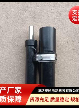 厂家供应电动液压推杆一体式顶杆48V220V直流电机伸缩杆双向油缸
