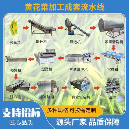 全自动预制菜加工设备连续式中药材气泡清洗机樱桃葡萄清洗机