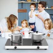 110V 多电炉大功率英文 220炉v双38109电磁炉灶多头台电陶嵌入式