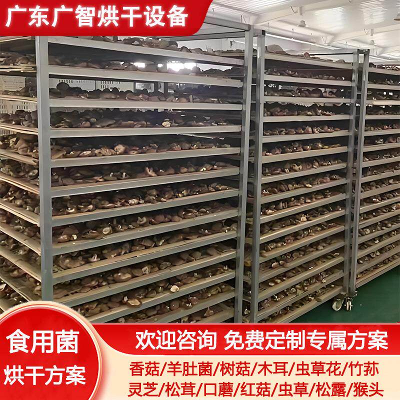 食用菌香菇空气能烘干房茶树菇羊肚菌烘干设备蘑菇平菇热泵烘干机