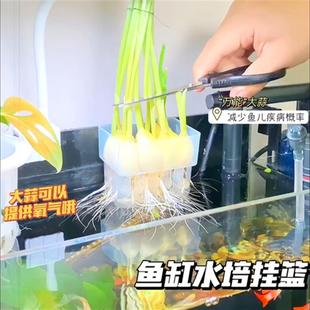 【品牌正品】鱼缸水培挂篮大蒜种植盆绿萝水草杯植物挂式定植篮郁