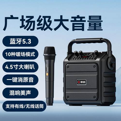 琅韵户外手提蓝牙音箱低音炮带话筒唱歌大音量便携家用广场舞音响