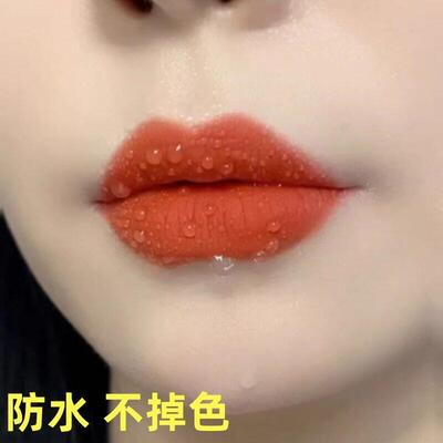 【官方正品】胡萝卜色不掉色不沾杯哑光防水滋润不易脱色口红