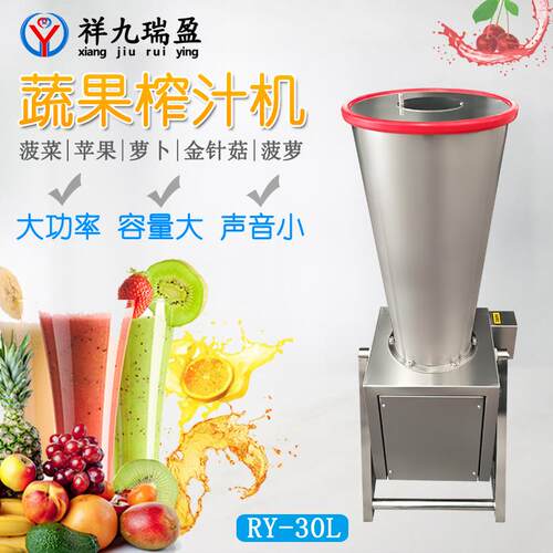 胡萝卜草莓麦芽苗打汁机 玉米青菜流体食物打浆机 大型果蔬榨汁机