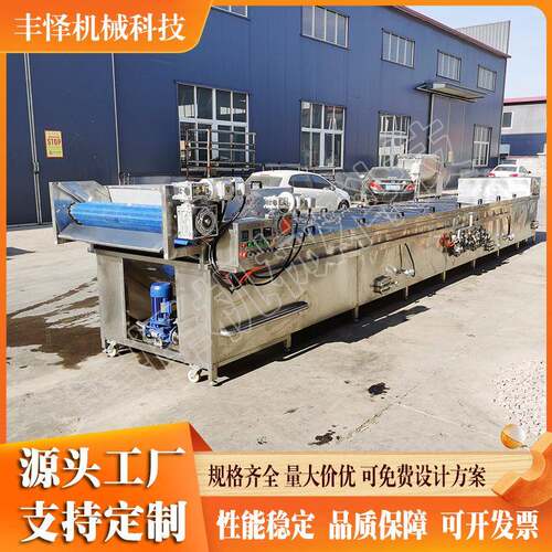 竹笋漂烫机连续式酸豆角预煮杀青护色机芦笋预煮漂烫成套设备