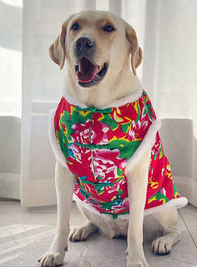 大型犬棉衣拉布拉多金毛喜庆加厚衣服网红狗狗大型犬保暖喜庆衣服