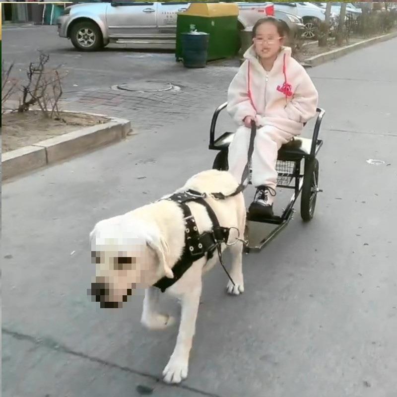 金毛拉车二哈狗拉人轻型坐车车双刹狗遛狗三轮车可折叠默认项金属