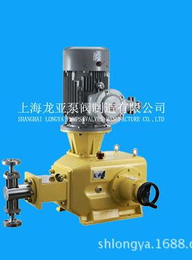 酸加药泵GB980/0.2H2CO3投加计量泵-上海龙亚泵业出品龙亚出品1