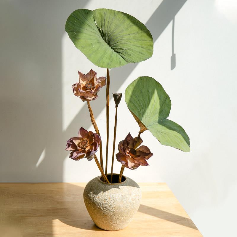 天然荷花莲蓬荷叶干花花束真花客厅摆设花瓶装饰品摆件新中式插花