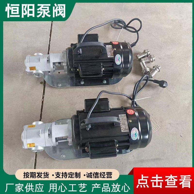 WCB便携式手提油泵厂家输油泵齿轮泵微型手提泵便携式手提油泵
