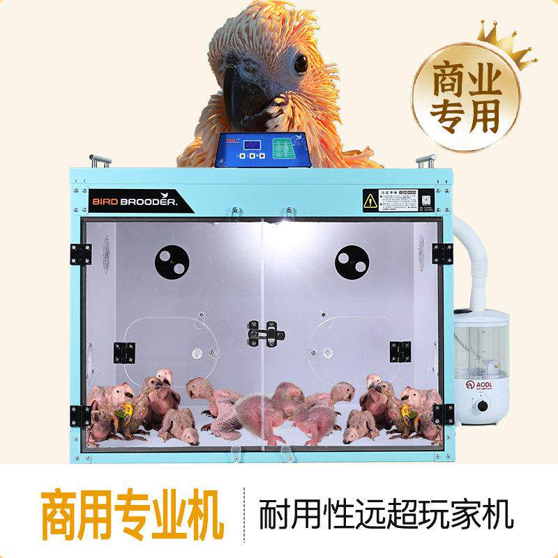 鹦鹉幼鸟专用育雏保温箱玄凤牡丹雏鸟恒温急救中号AODL63鹦鹉笼子