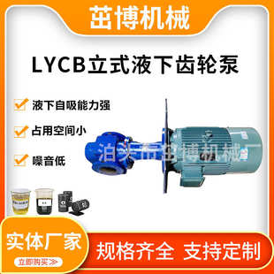 4寸口径稀油站润滑油泵燃油泵液压泵电动输送泵立式 泵液下齿轮泵