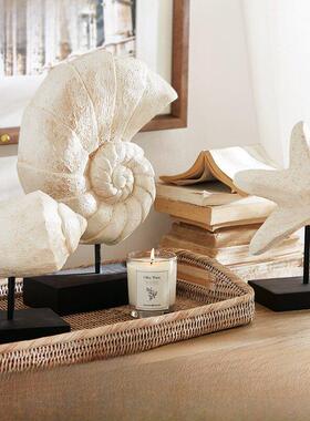 海港住宅客厅入口桌装饰海洋木壳海螺海星湾