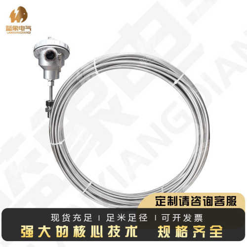 现货WRNK-131铠装热电偶热电阻耐高温可弯折冶金厂/化工厂/食品厂