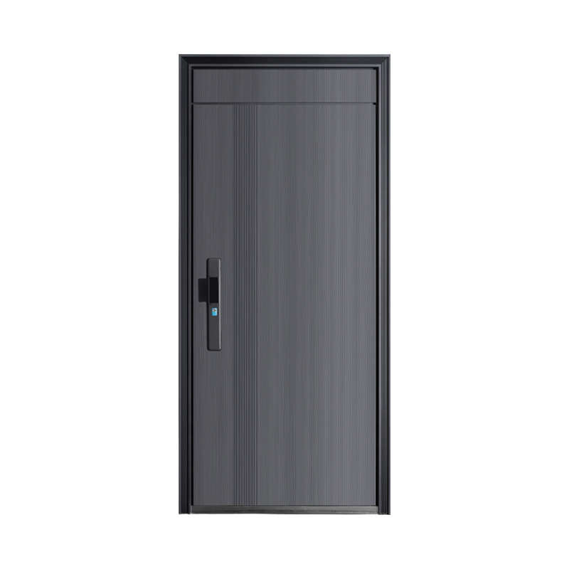 新款隔音家用门简约锁门防盗门户时尚甲级安全门智能进单门入户门