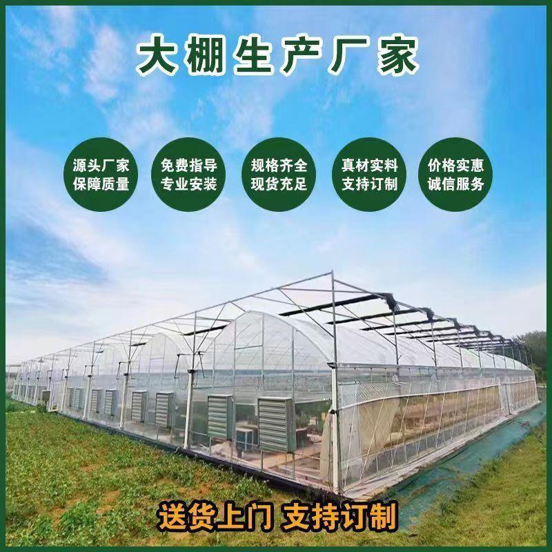 大棚骨架养殖蔬菜家用种植温室专业养猪棚羊棚养鸡牛棚全套钢管