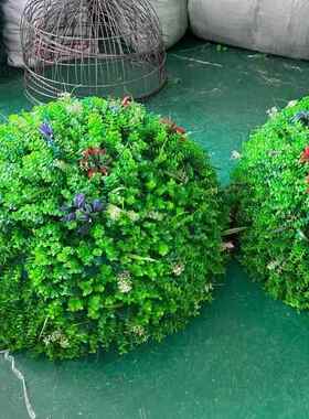 户外田绿井盖遮装饰品空心仿真绿植园尤加植挡利带花草球6179米兰