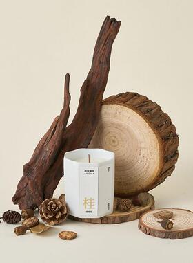 高级感小众树桩桌面摆件沉木造景 木头树枝香薰产品拍照道具装饰