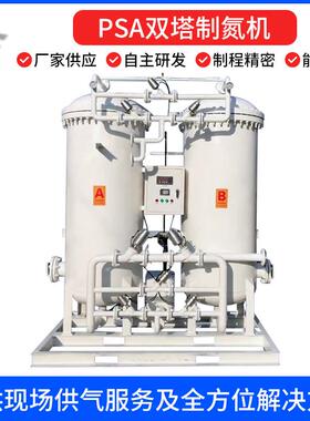 PSA双塔制氮机100立方变压吸附高纯度分离设备全自动氮气制造机