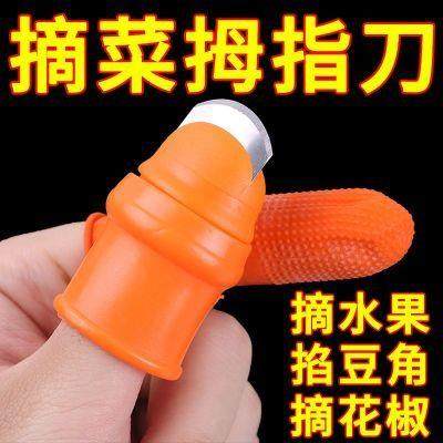 菜修剪修剪修剪修剪铁拇指刀掐摘家庭家庭小型园艺利器专用手套
