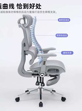 电竞椅人体学椅子护腰坐姿电坐椅脑家用舒办适久可躺公MAI椅靠背