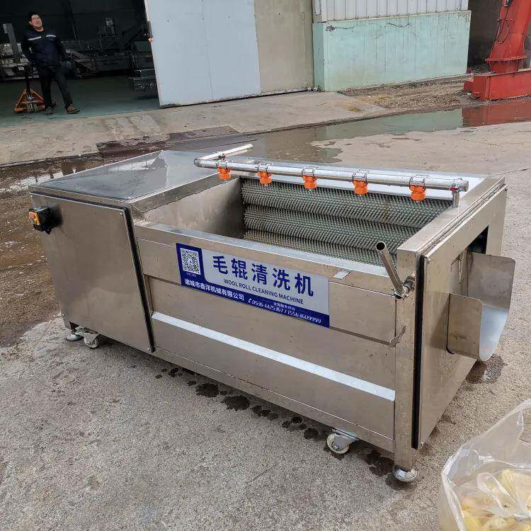 小型毛辊清洗脱皮机生姜洋葱清洗去皮机全自动果疏清洗设备
