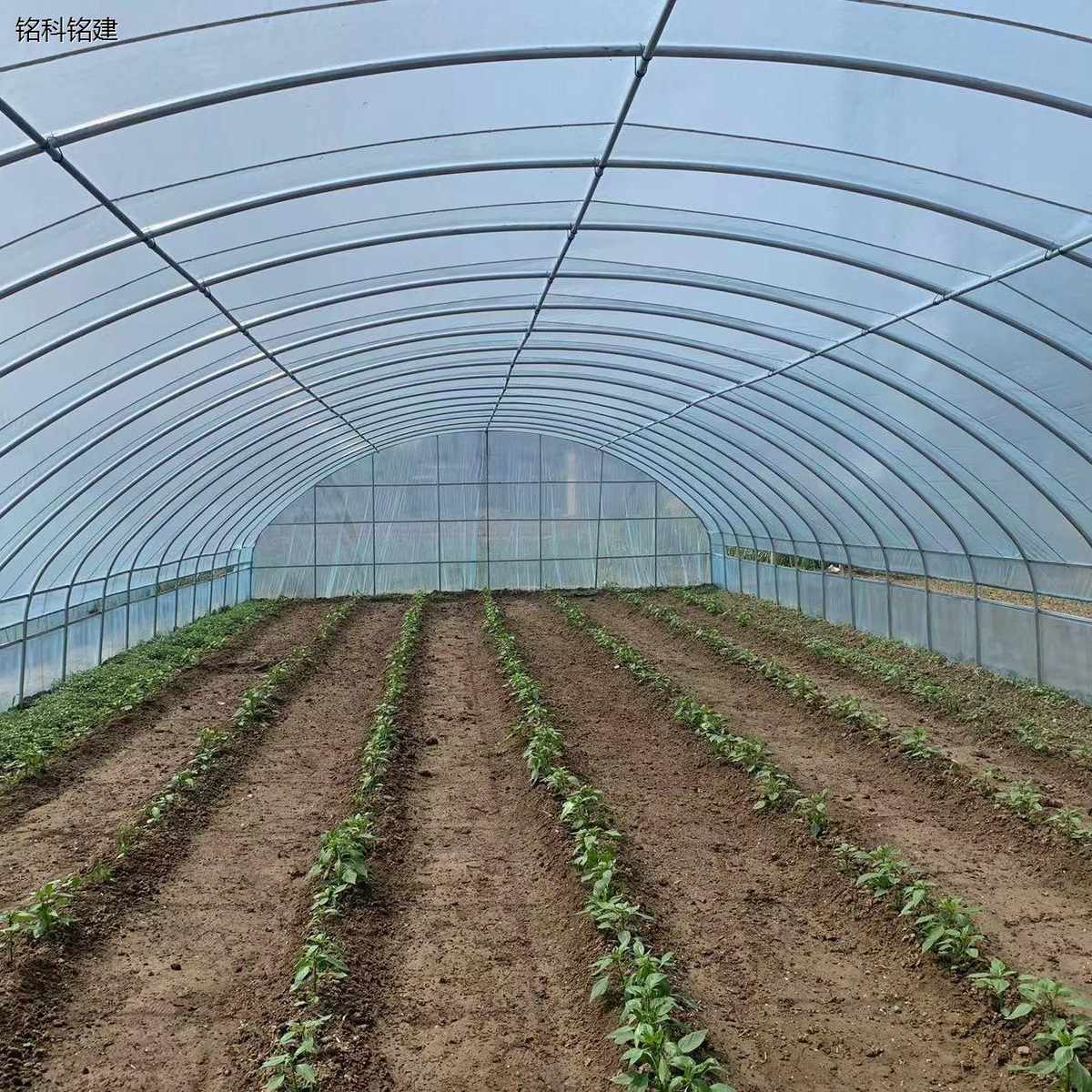 新型智能温室大棚 暖棚 大棚骨架钢管全套 农业塑料大棚菜棚