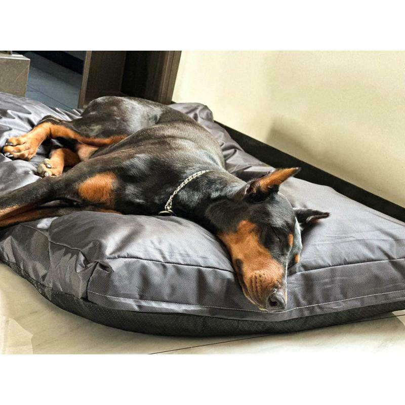 现货夏季防水牛津可拆洗卸平板拎手狗窝床海绵宠物窝耐抓防滑,宠物/宠物食品及用品,狗窝/屋/帐篷/沙发,淘宝优惠券,粉丝福利购,淘宝优惠卷