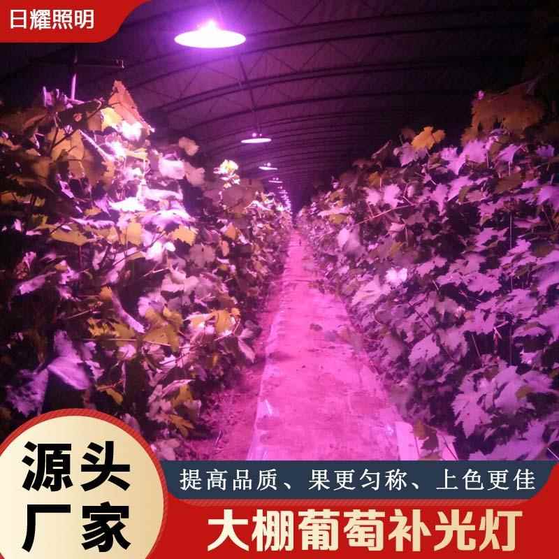 日耀 led植物灯生长灯全光谱室内花卉育苗多肉蔬菜温室大棚补光灯