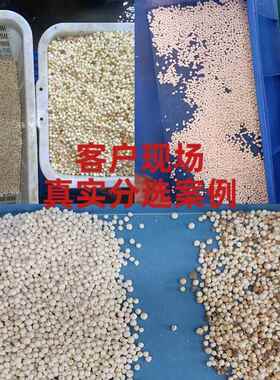 实专用GNT色选机小型家杂粮豆类小麦去杂异芡高产量色颜色用分选
